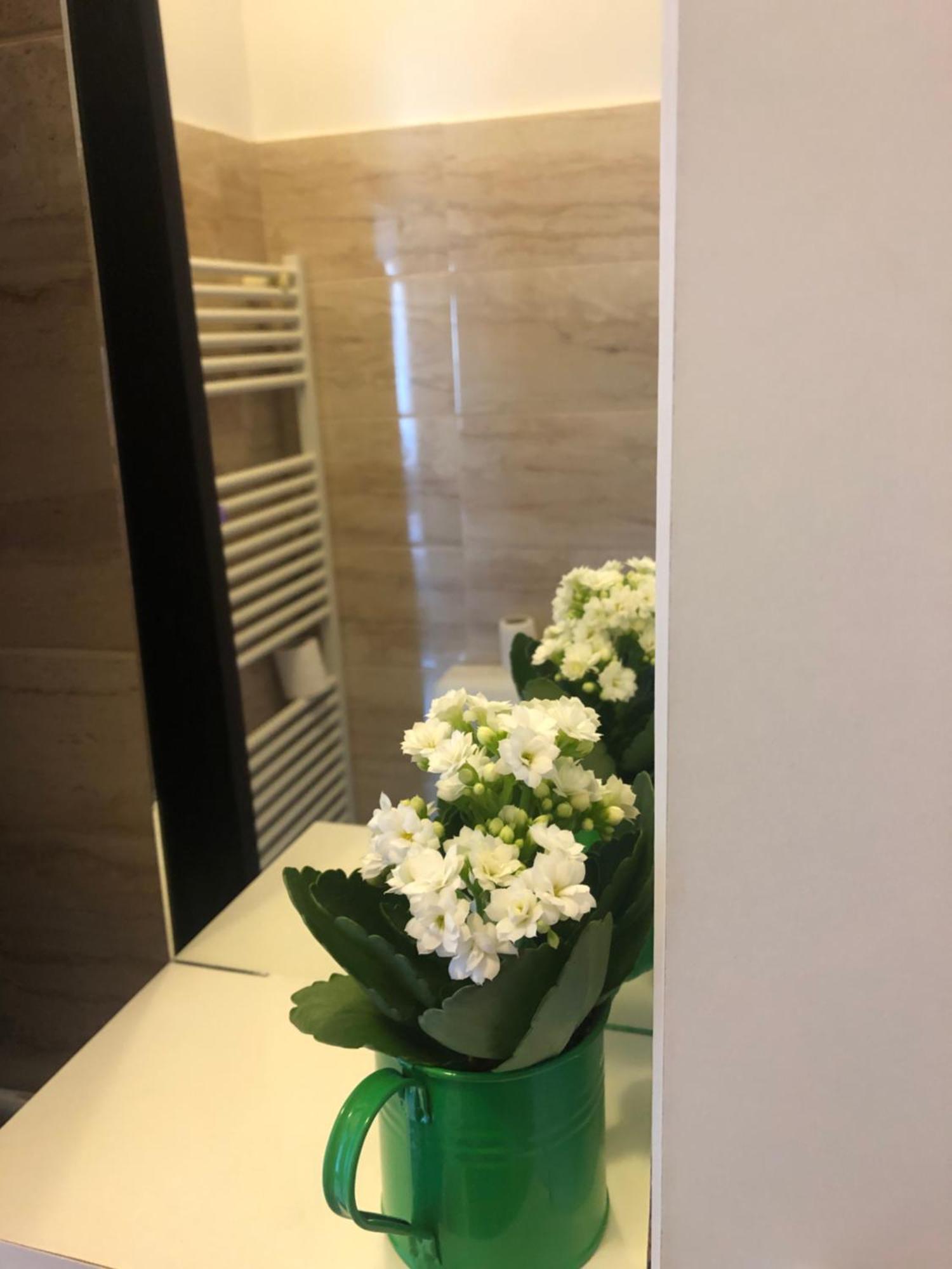 布加勒斯特Jane House公寓 外观 照片